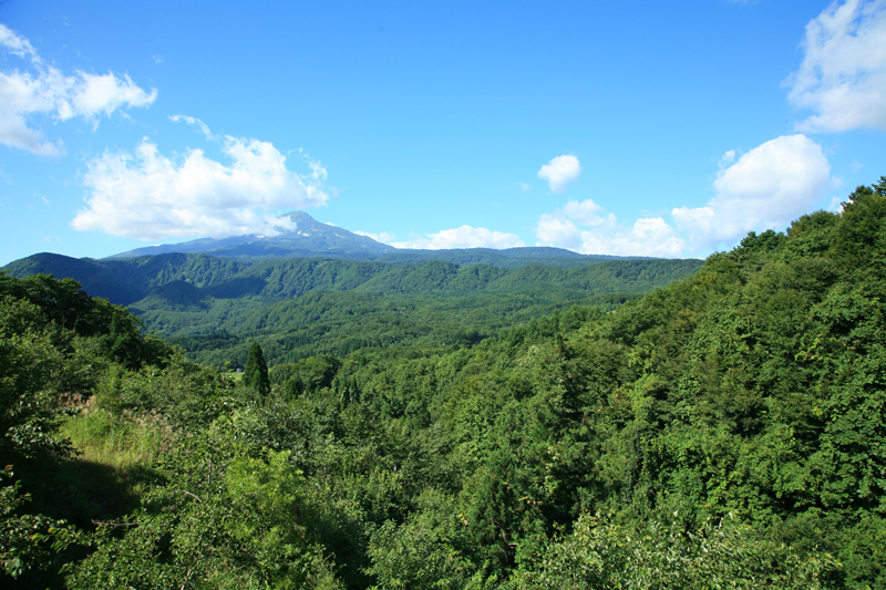 サムネイル:山に感謝して持続可能な森林経営を推進