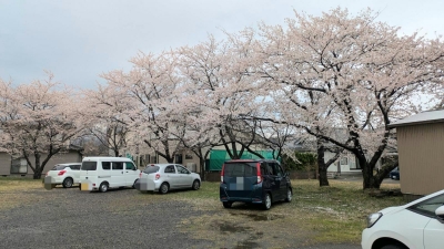 令和7年度がスタート