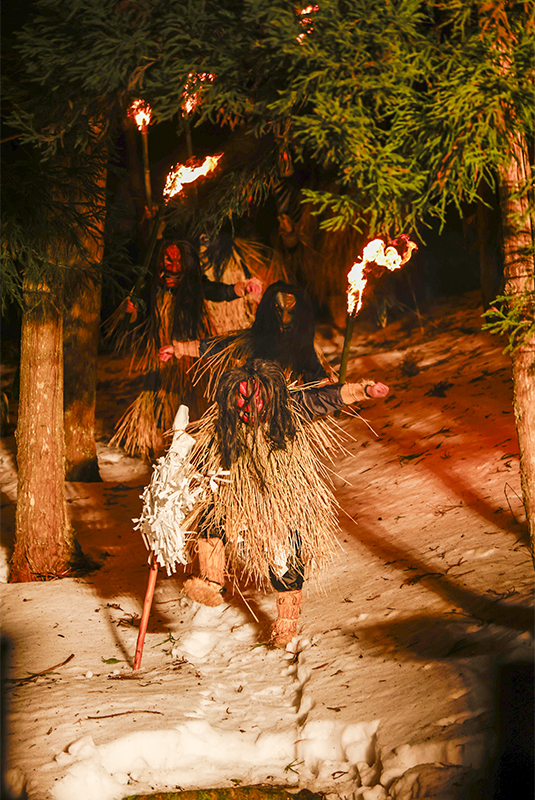 サムネイル:厄を祓い、福をもたらす来訪神「なまはげ」が躍動