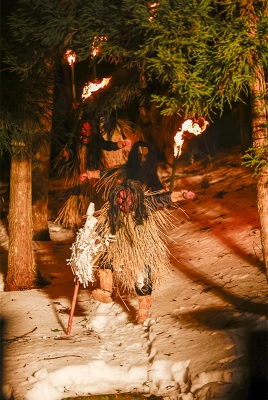 厄を祓い、福をもたらす来訪神「なまはげ」が躍動