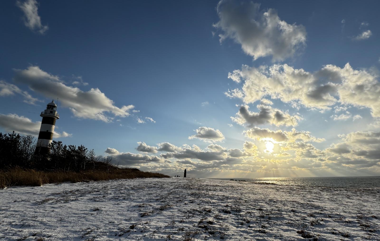 サムネイル:若手社員の休みの日の過ごし方