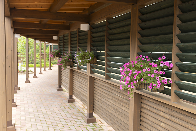  [409KB]