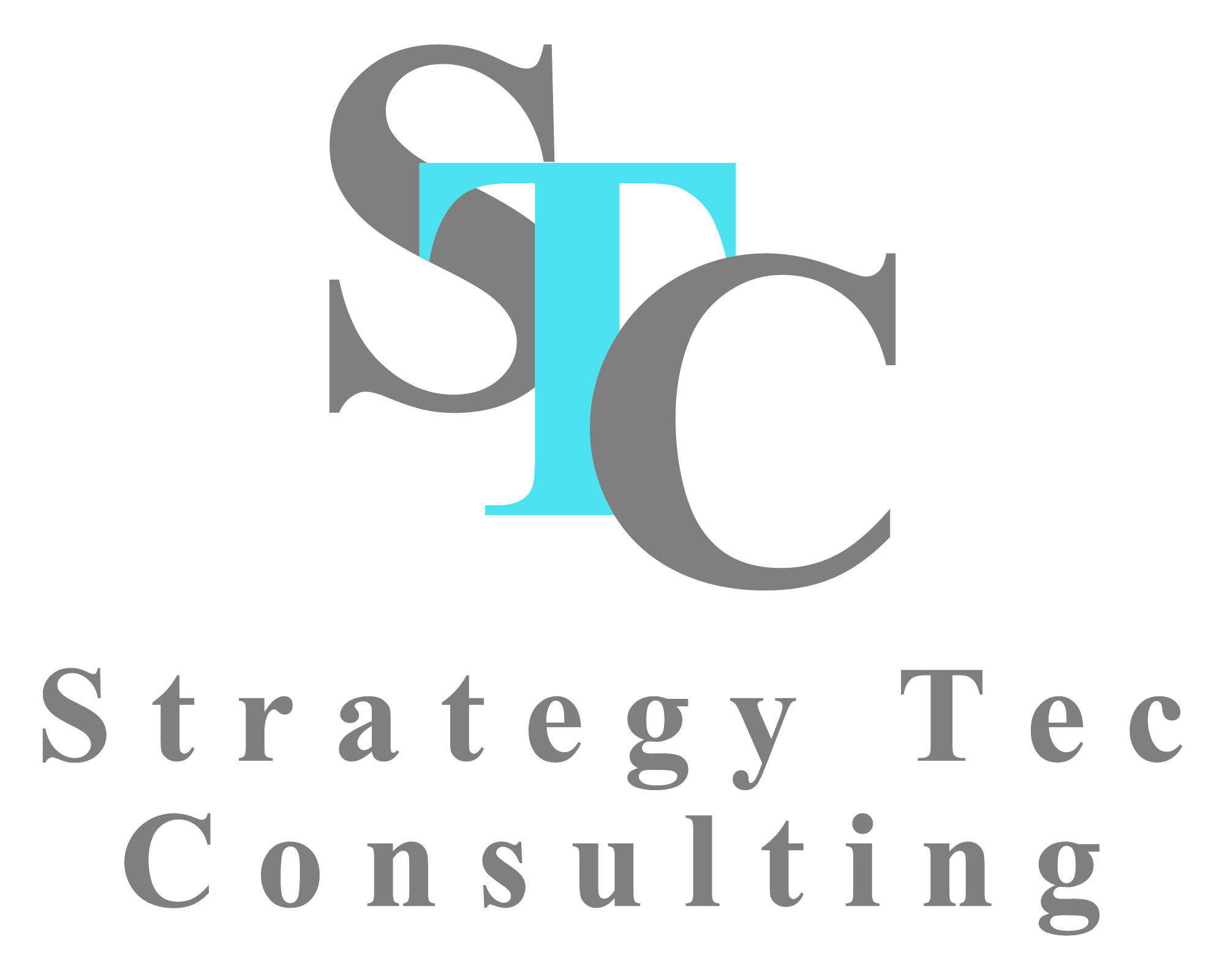ロゴ:株式会社ストラテジーテック・コンサルティング