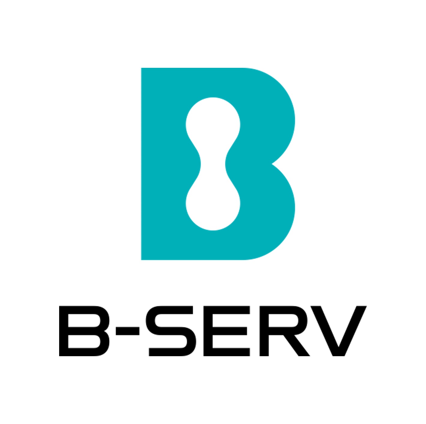 ロゴ:ビジネスシステムサービス株式会社