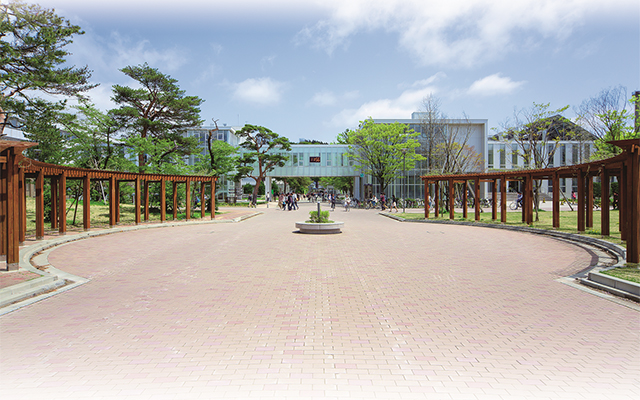 サムネイル:国立大学法人秋田大学