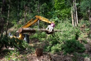 サムネイル:有限会社　新林林業