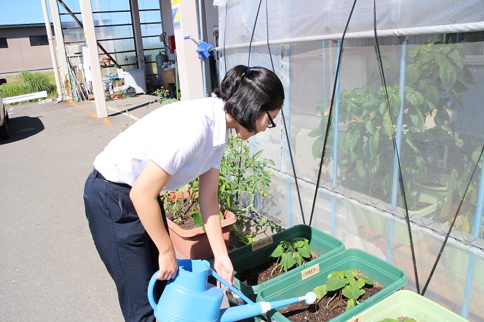 インタビュー画像:【営業本部】小島 夏子(入社2年目)、佐藤 奈央子(入社1年目)【総務経理部】松井 雄太(入社1年目)